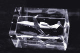 Foto in Glas/3D-Umwandlung -Quader-Long cut